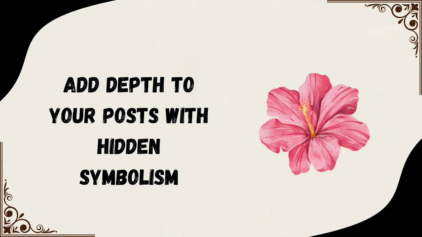 carnation flower meaning