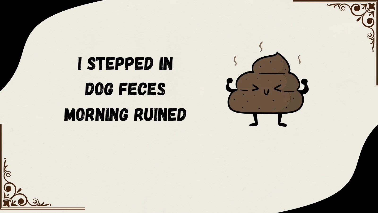 feces meaning