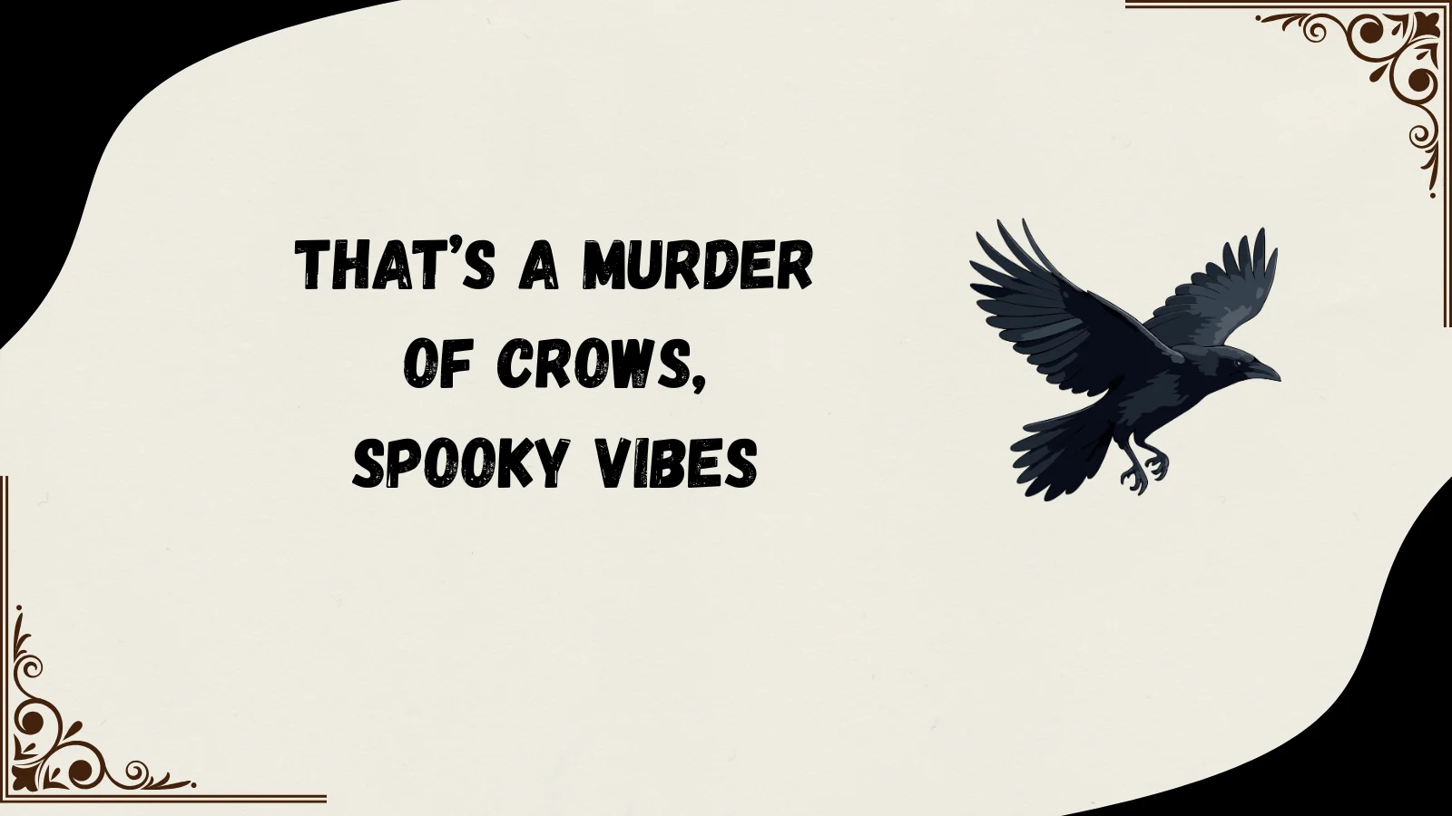 murder of crows meaning