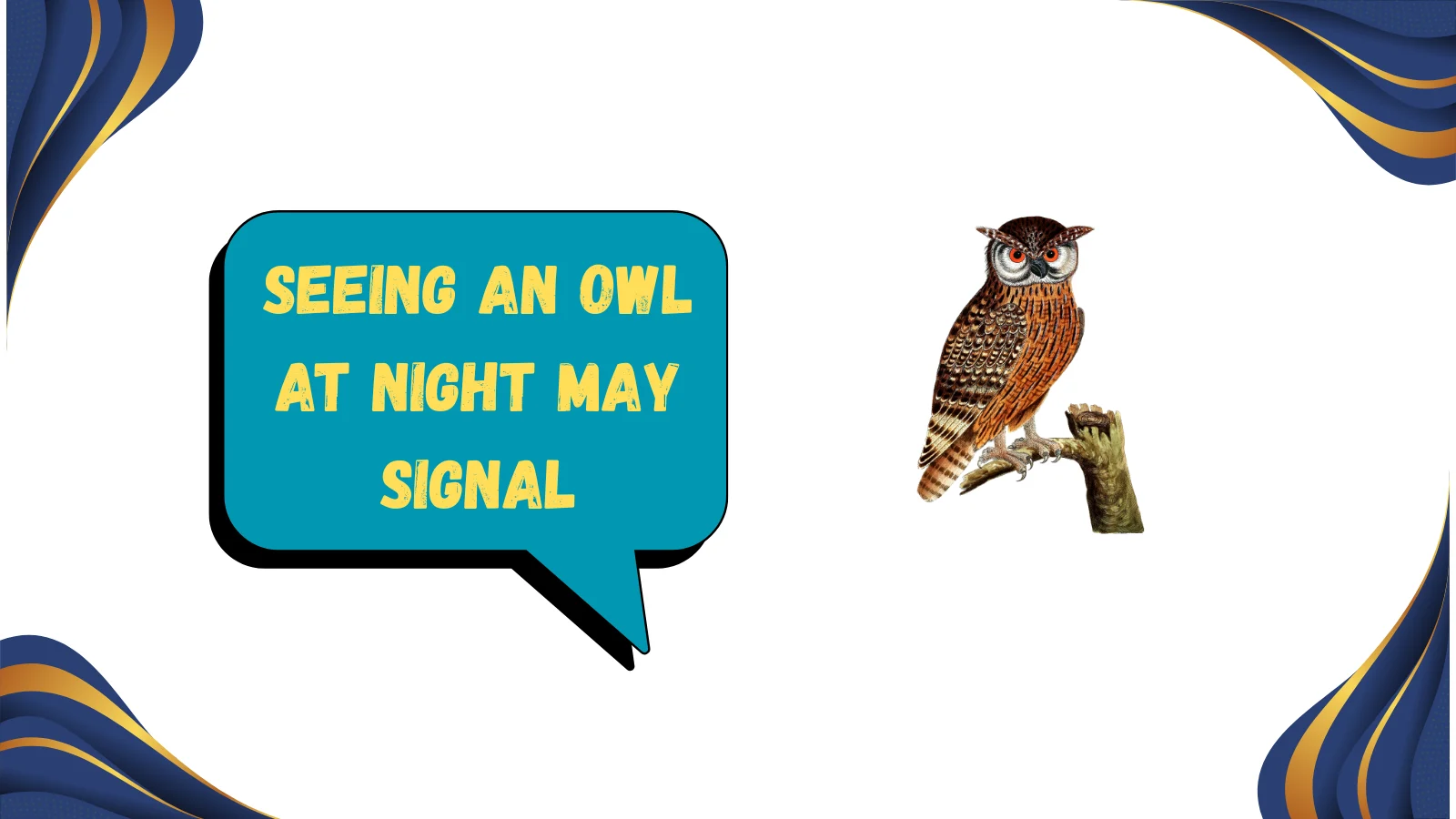 seeing an owl at night spiritual meaning